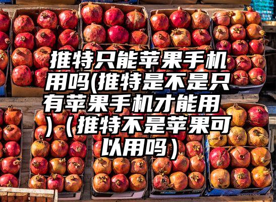 推特只能苹果手机用吗(推特是不是只有苹果手机才能用 )（推特不是苹果可以用吗）