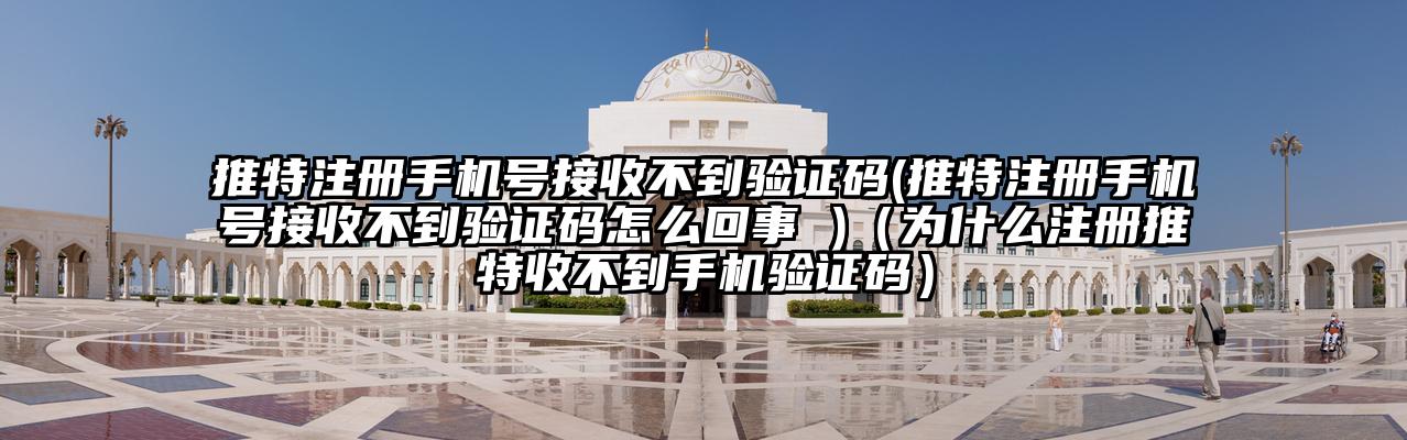 推特注册手机号接收不到验证码(推特注册手机号接收不到验证码怎么回事 )（为什么注册推特收不到手机验证码）