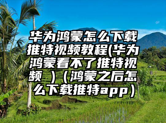华为鸿蒙怎么下载推特视频教程(华为鸿蒙看不了推特视频 )（鸿蒙之后怎么下载推特app）