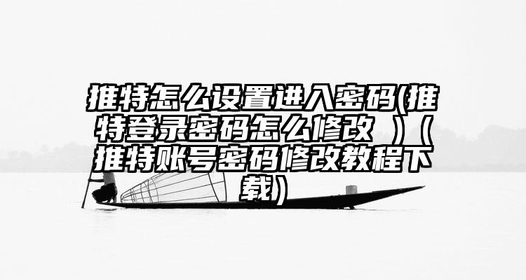 推特怎么设置进入密码(推特登录密码怎么修改 )（推特账号密码修改教程下载）
