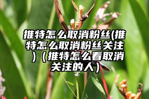 推特怎么取消粉丝(推特怎么取消粉丝关注 )（推特怎么看取消关注的人）