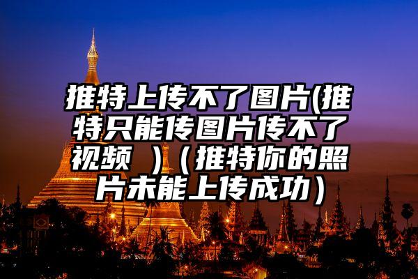 推特上传不了图片(推特只能传图片传不了视频 )（推特你的照片未能上传成功）