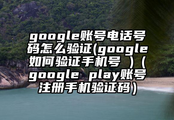google账号电话号码怎么验证(google如何验证手机号 )（google play账号注册手机验证码）