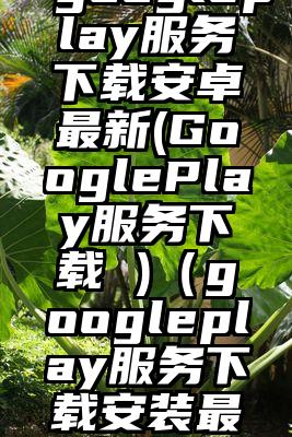 googleplay服务下载安卓最新(GooglePlay服务下载 )（googleplay服务下载安装最新版）