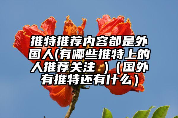 推特推荐内容都是外国人(有哪些推特上的人推荐关注 )(国外有推特还有什么)