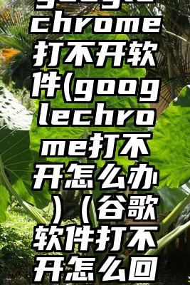 googlechrome打不开软件(googlechrome打不开怎么办 )（谷歌软件打不开怎么回事）