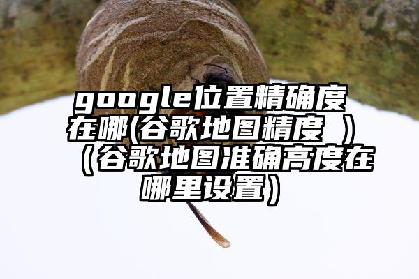 google位置精确度在哪(谷歌地图精度 )（谷歌地图准确高度在哪里设置）