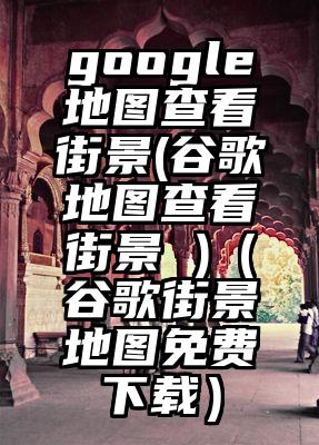 google地图查看街景(谷歌地图查看街景 )（谷歌街景地图免费下载）