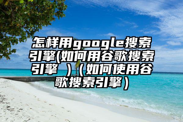 怎样用google搜索引擎(如何用谷歌搜索引擎 )（如何使用谷歌搜索引擎）