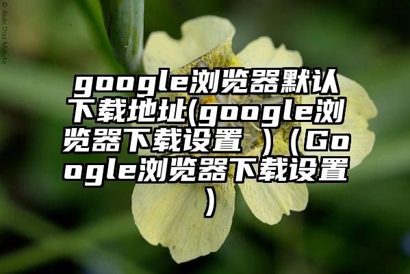 google浏览器默认下载地址(google浏览器下载设置 )（Google浏览器下载设置）