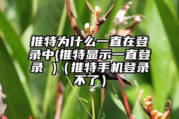 推特为什么一直在登录中(推特显示一直登录 )（推特手机登录不了）