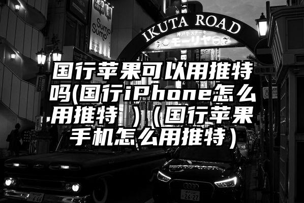 国行苹果可以用推特吗(国行iPhone怎么用推特 )（国行苹果手机怎么用推特）