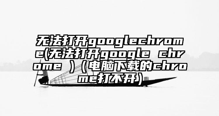 无法打开googlechrome(无法打开google chrome )（电脑下载的chrome打不开）