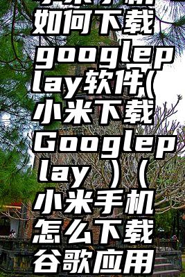小米手机如何下载googleplay软件(小米下载Googleplay )（小米手机怎么下载谷歌应用商店）