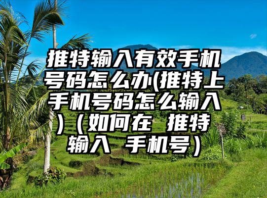 推特输入有效手机号码怎么办(推特上手机号码怎么输入 )(如何在 推特 输入 手机号)