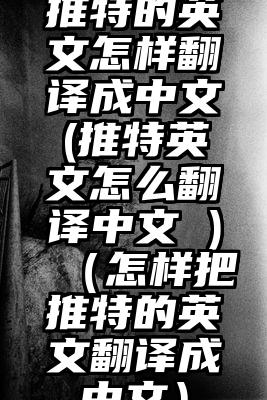 推特的英文怎样翻译成中文(推特英文怎么翻译中文 )（怎样把推特的英文翻译成中文）