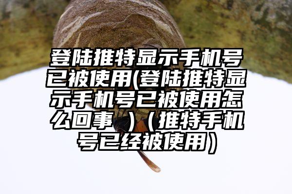 登陆推特显示手机号已被使用(登陆推特显示手机号已被使用怎么回事 )(推特手机号已经被使用)