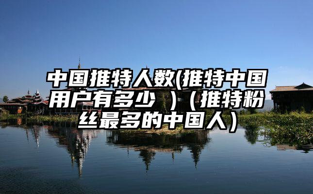 中国推特人数(推特中国用户有多少 )（推特粉丝最多的中国人）