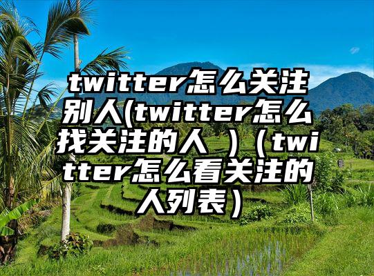 twitter怎么关注别人(twitter怎么找关注的人 )（twitter怎么看关注的人列表）