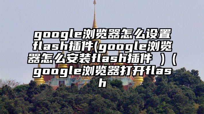 google浏览器怎么设置flash插件(google浏览器怎么安装flash插件 )（google浏览器打开flash