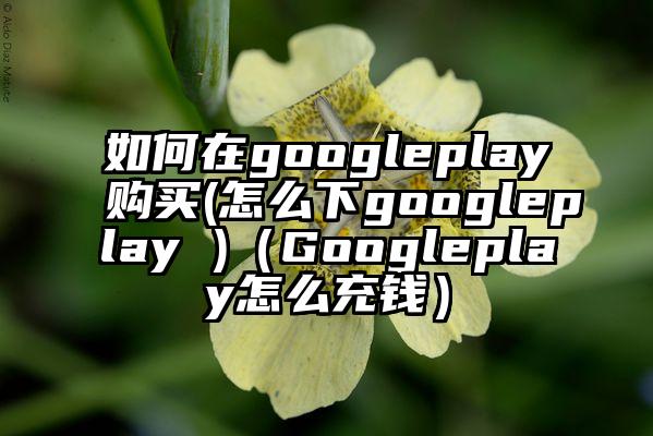如何在googleplay购买(怎么下googleplay )（Googleplay怎么充钱）
