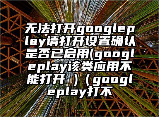 无法打开googleplay请打开设置确认是否已启用(googleplay该类应用不能打开 )（googleplay打不