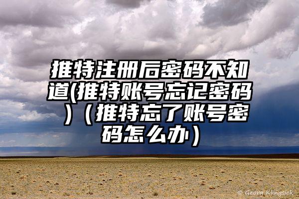 推特注册后密码不知道(推特账号忘记密码 )(推特忘了账号密码怎么办)