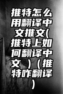 推特怎么用翻译中文推文(推特上如何翻译中文 )（推特咋翻译）