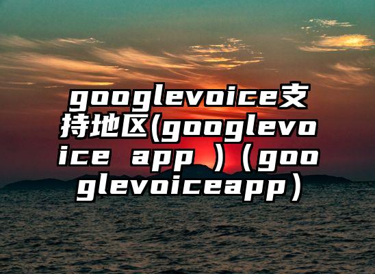 googlevoice支持地区(googlevoice app )（googlevoiceapp）