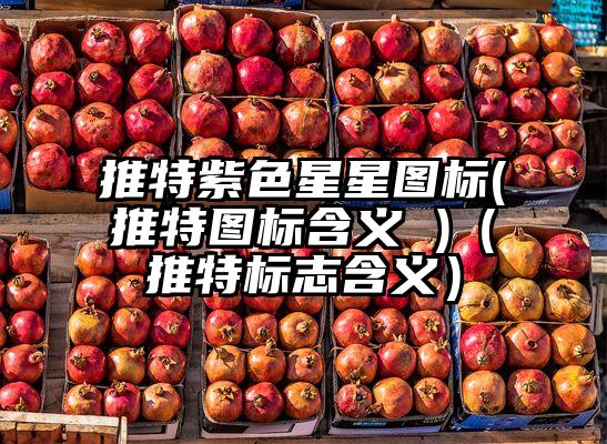 推特紫色星星图标(推特图标含义 )（推特标志含义）