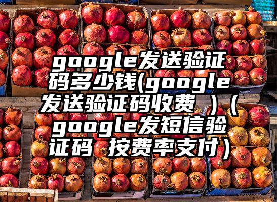 google发送验证码多少钱(google发送验证码收费 )（google发短信验证码 按费率支付）