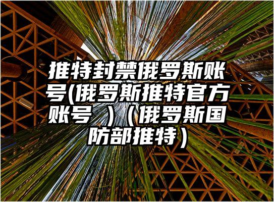 推特封禁俄罗斯账号(俄罗斯推特官方账号 )（俄罗斯国防部推特）