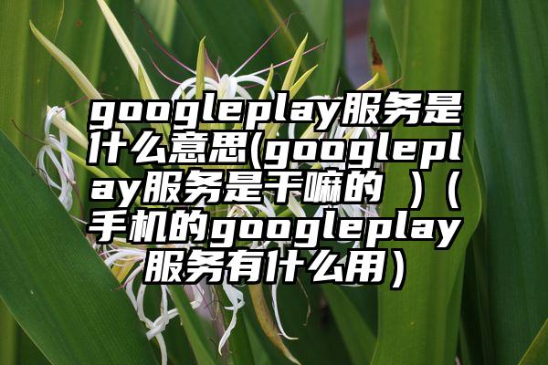 googleplay服务是什么意思(googleplay服务是干嘛的 )（手机的googleplay服务有什么用）