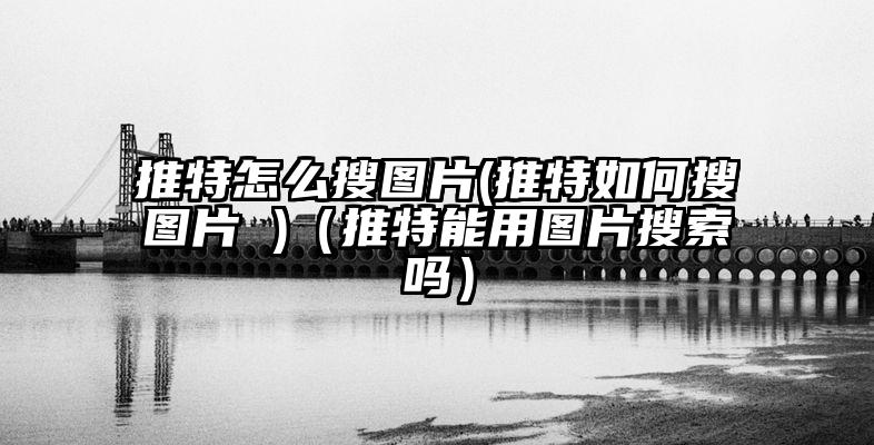推特怎么搜图片(推特如何搜图片 )（推特能用图片搜索吗）