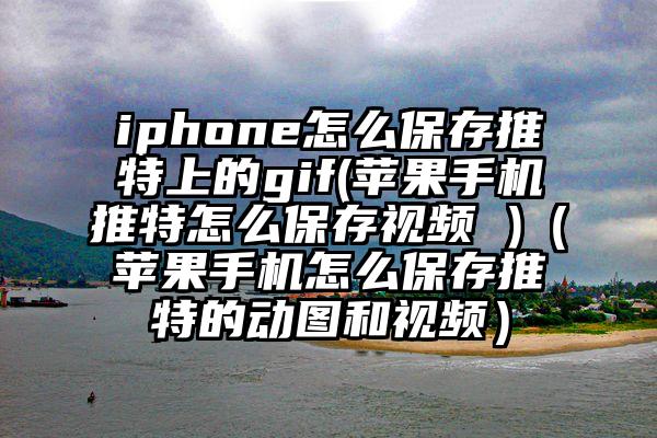 iphone怎么保存推特上的gif(苹果手机推特怎么保存视频 )（苹果手机怎么保存推特的动图和视频）