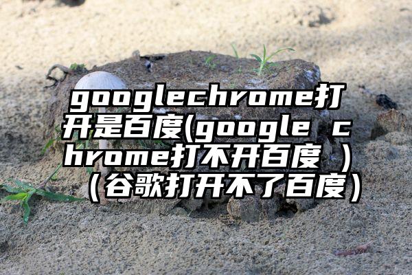 googlechrome打开是百度(google chrome打不开百度 )（谷歌打开不了百度）