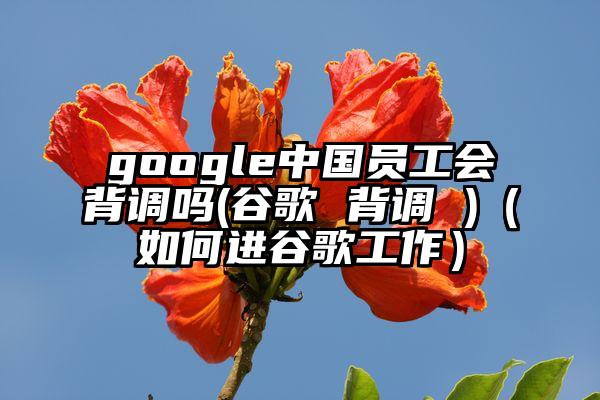 google中国员工会背调吗(谷歌 背调 )（如何进谷歌工作）