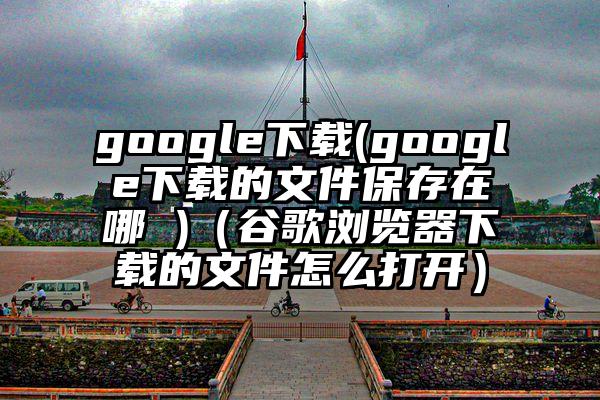 google下载(google下载的文件保存在哪 )（谷歌浏览器下载的文件怎么打开）