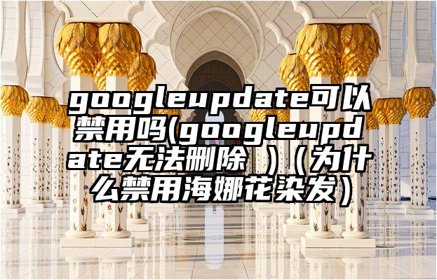 googleupdate可以禁用吗(googleupdate无法删除 )（为什么禁用海娜花染发）