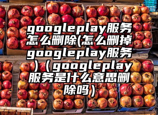 googleplay服务怎么删除(怎么删掉googleplay服务 )（googleplay服务是什么意思删除吗）