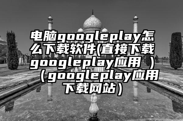 电脑googleplay怎么下载软件(直接下载googleplay应用 )（googleplay应用下载网站）